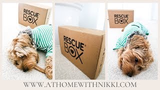 PET SUBSCRIPTION BOX | UNBOXING THE RESCUE BOX by At Home With Bentley & Albert 3,187 views 4 years ago 3 minutes, 31 seconds