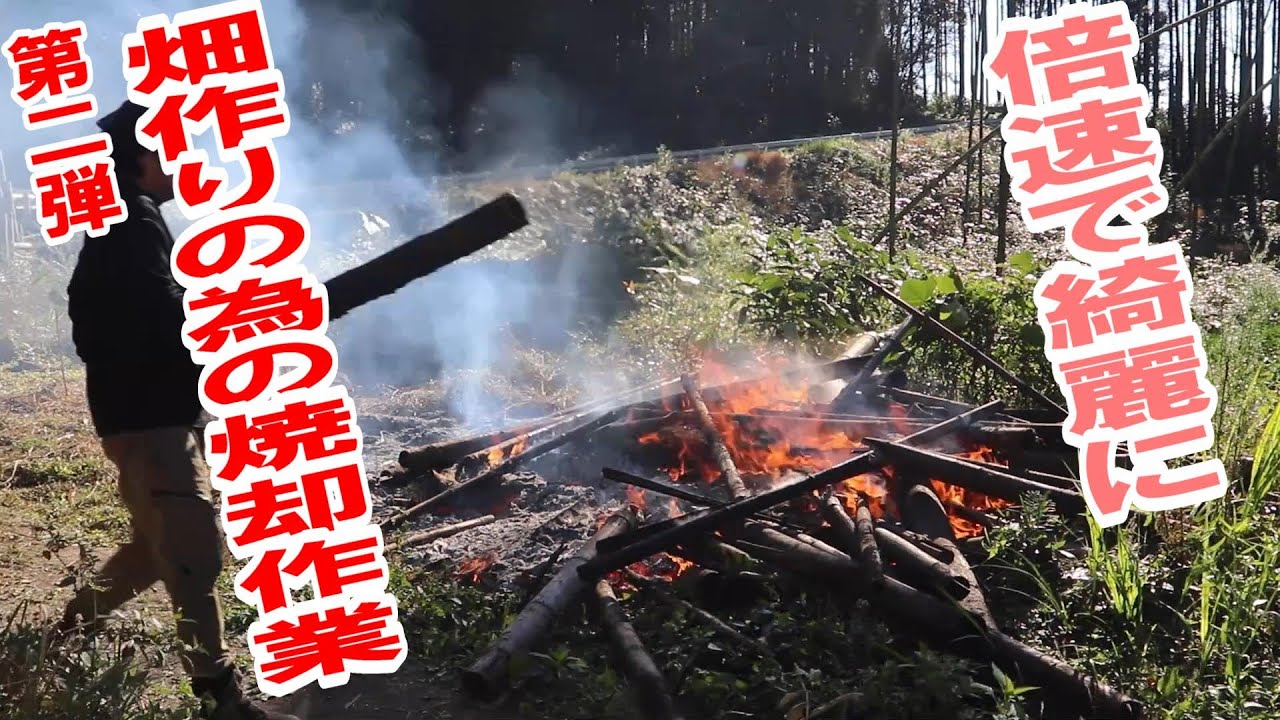 焼却作業第二弾！倍速動画で見る畑作りの前進と枯れ竹消失の快感
