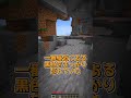 黒色が最強 #マイクラ