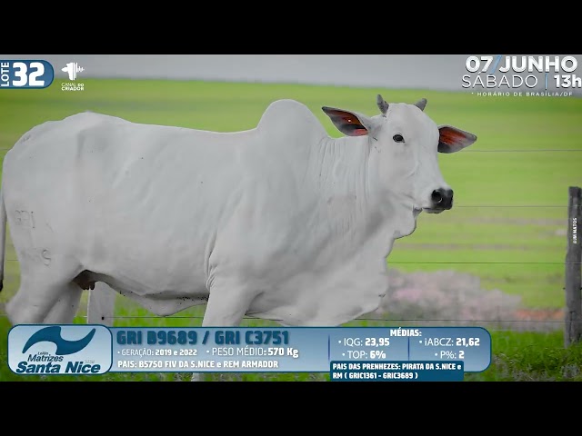 LOTE 32   GRI C3751 9689