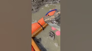 MEGALODON GROTE HAAIENTAND GEVONDEN!! Sneak preview! #shorts