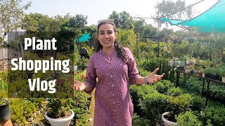 Plant Shopping Vlog Siraspur Badli Plant Haul With Price Curly Dreams