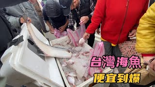 不去台灣竹圍漁港你永遠不知道海鮮有多便宜1000台幣過年都吃不完