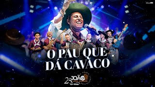 O Pau Que Dá Cavaco - João Luiz Corrêa & Grupo Campeirismo ( DVD 25 anos de Carreira) 4k 2024