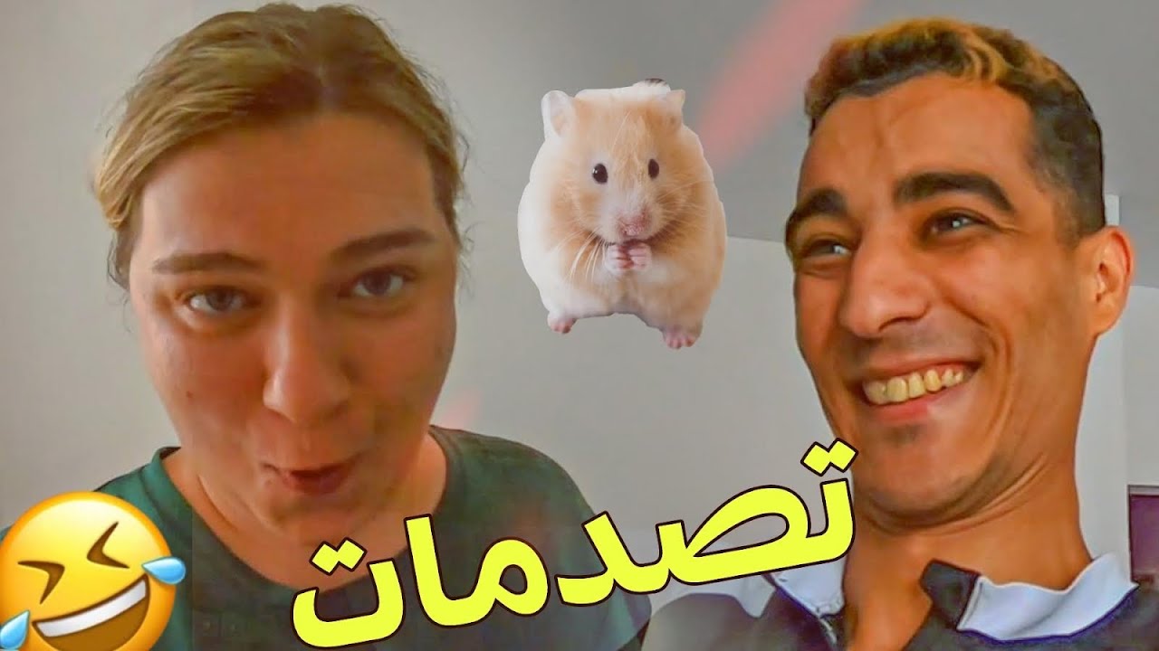 شريت لزوجتي هامستر في عيد ميلادها و كانت غادي طير من الفرح !