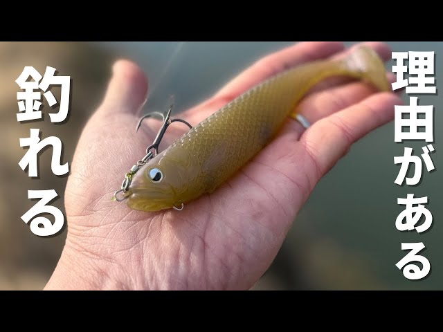 Trendy Lure] The Dead Boy swimbait from RAIDJAPAN, which is