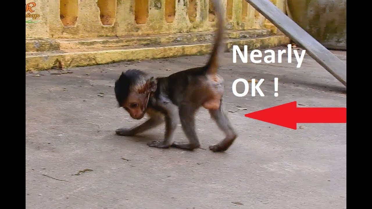 UPDATE News : Lori will Back live with Mom Amari Tomorrow, Look Her Nearly 100% OK .