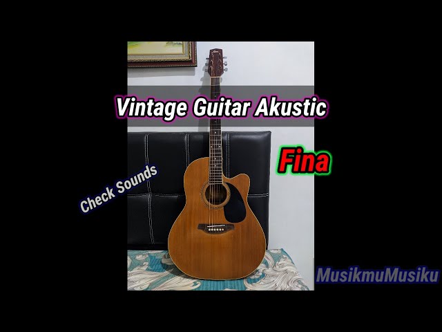 Check sounds Vintage Guitar Fina - YouTube