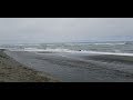 Gold Bluffs Beach in Orick, CA, Redwood National and State Parks