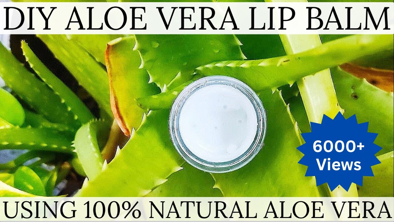 ALOE VERA LIP BALM HOMEMADE FOR SOFT LIPS LIP MOISTURIZER EASY TO