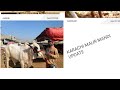 Kalrchi malir mandi ki latest update 3 feb 2026 #world animal lovers # Duckey bhai