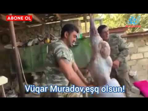 Vüqar Muradov yenə şaqqalıyır)))