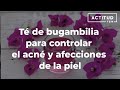 Té de bugambilia para controlar el acné y afecciones de la piel.| ActitudFem