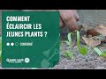 [TUTO] Comment éclaircir les jeunes plants ? - Jardinerie Gamm vert