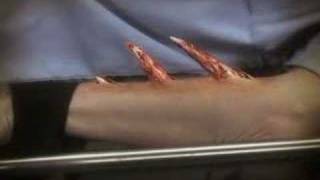SVA COMPUTER ART PRESENTS - SVA MONTAGE 2006