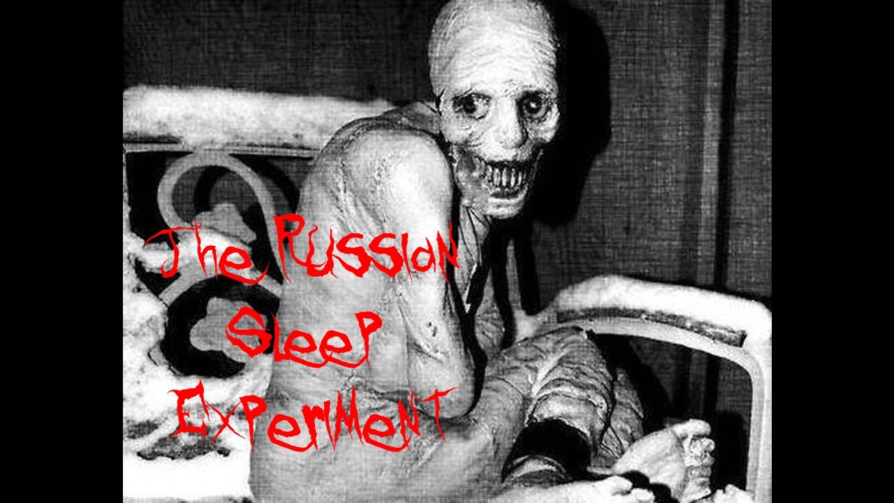 Russian Sleep Experiment Creepypasta Wiki