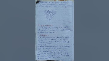 Core-10(Plant Systematic),4th Semester || Some selective questions & answers ||Handwritten Note||