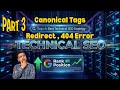 Technical SEO? Part 3 How to Do Technical SEO | How to set Canonical tags 301 Redirect & 404