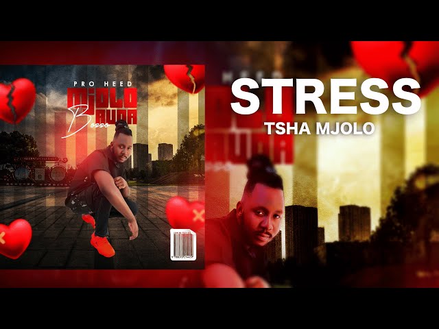 Pro Heed ft Rofhiwa Nethwadzi - Stress Tsha Mjolo (Official Audio) class=