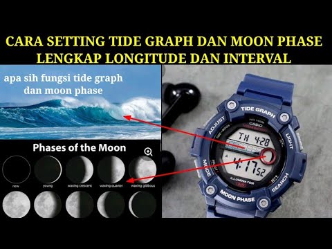 Video: Bagaimana cara menemukan interval lunitidal saya?