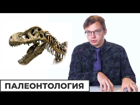 Видео: Что означает гадрозавр по-гречески?