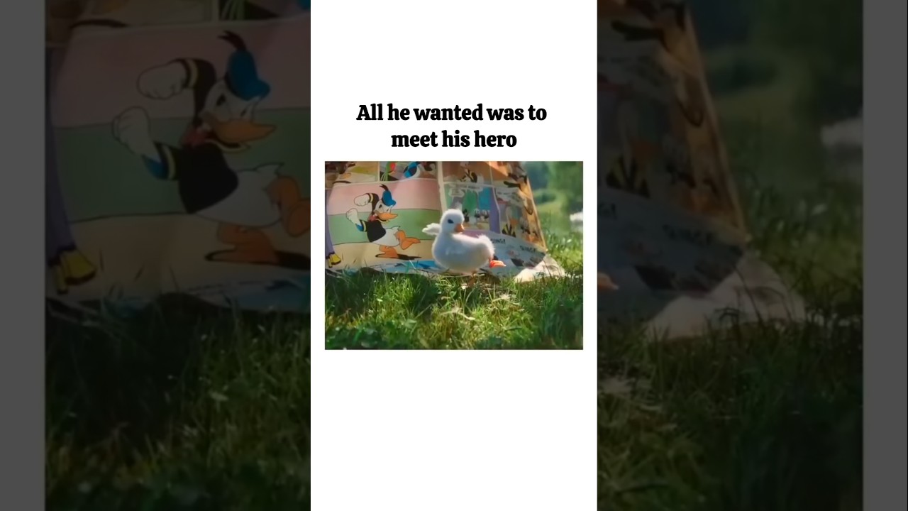 All he wanted was to meet his hero #shorts #duck #ytshorts