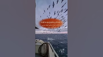 #سورة_النصر #اكسبلور #المصحف #تيك_توك #الرحمن #duet #القزابري #حالات_واتس #الورقات #لايك #البرزخ