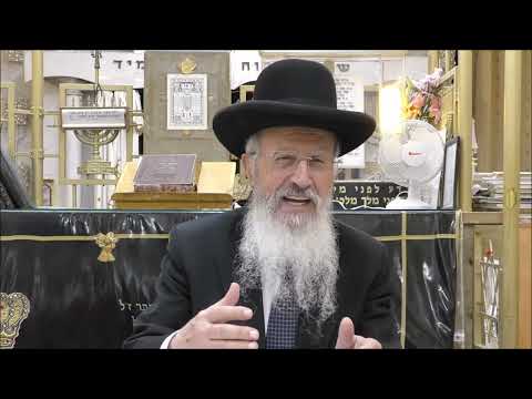 הגאון הרב אברהם יוסף שליט"א יכול לקרות הפרשה שנים מקרא ואחד תרגום בשעת קריאת התורה סימן רפה סעיף ה