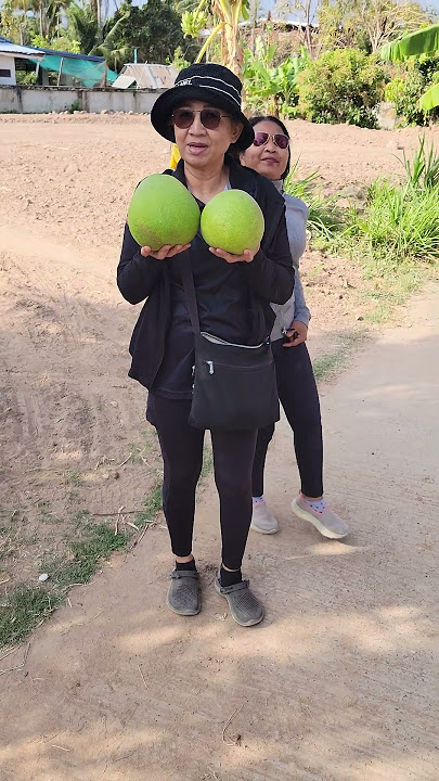 Jai showing off her melons #shorts #melons #thailand