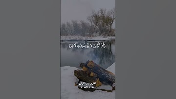(إن هذا القرآن يهدي للتي هي أقوم) القارئ بدر التركي | حالات واتس