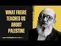 Why you shouldnt be silent about palestine insights from paulo freire