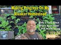 BUILDING MY ALASKAN HOMESTEAD