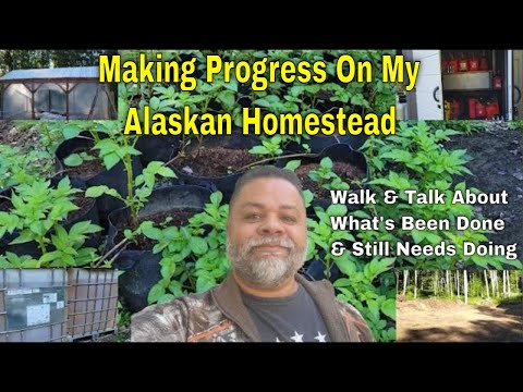 BUILDING MY ALASKAN HOMESTEAD