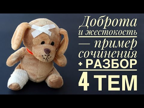 ДОБРОТА И ЖЕСТОКОСТЬ - ПРАКТИКУМ [IrishU]