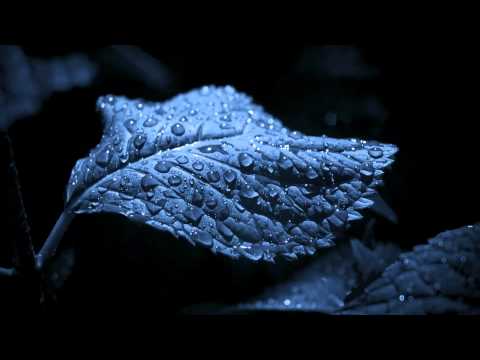 Sad Calm Ambient Music - "Faded Memories" - YouTube