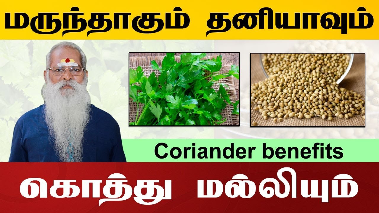 மருந்தாகும் தனியாவும் கொத்துமல்லியும் !