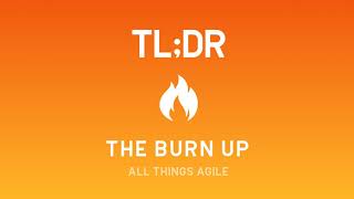 11: TL;DR - Status Reports