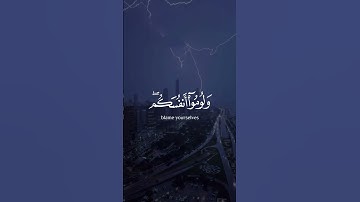 دع أصابعك تشهد لك وأكتب ما تؤجر عليهسورة / ابراهيم القارئ #يوسف_الصقير |