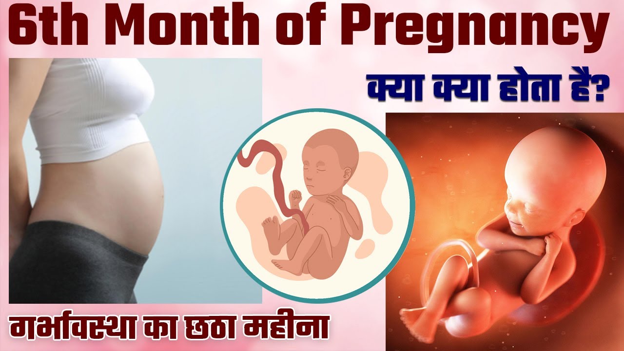 babies-in-the-womb-at-6-months