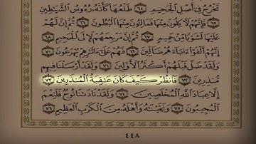 اليوم ( 38 ) القارئ ماجد الحدادي سورة الصافات وسورة ص