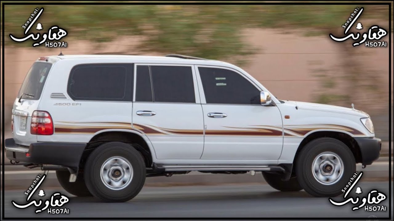 شيلة | الهقاوي صامله والفعل طيب | طرب طرب🔥🤩