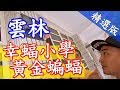 【幸蝠小學 黃金蝙蝠】雲林│《經典好節目》台灣第一等_精選版