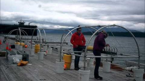 Assembling hydrophones