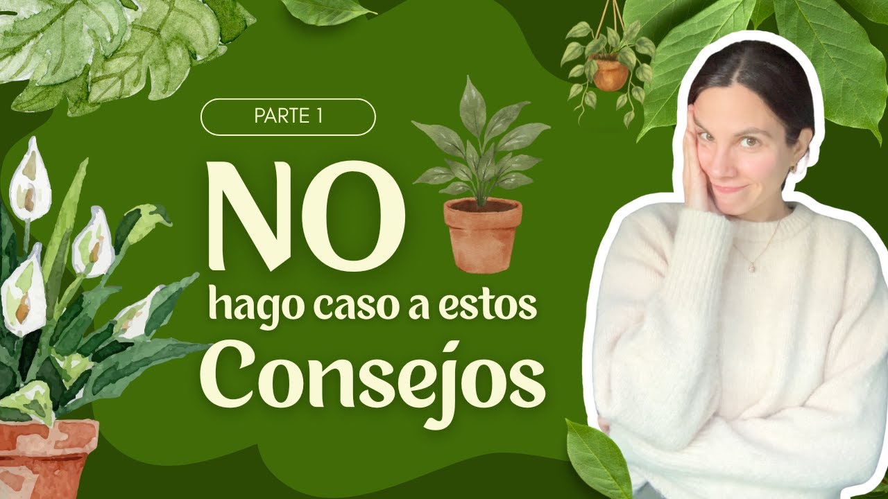 Consejos de plantas 🪴 que siempre ignoro 😌