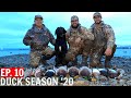 Duck Hunting - FIRST Washington Public Land Duck Hunt of 2020!