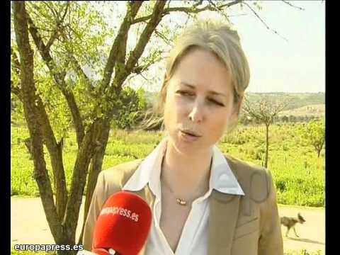 Reforestacin en Alcal de Henares