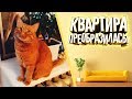 КВАРТИРА ПРЕОБРАЗИЛАСЬ