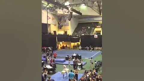 Sammy floor routine 2015 Whitlow