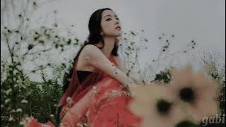 JISOO - FLOWER (slowed   reverb) (instrumental)