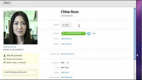How to update your status in Skype - Mac